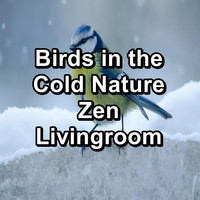 Calming Bird Sounds - Birds in the Cold Nature Zen Livingroom
