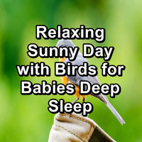 Bird Songs - Relaxing Sunny Day with Birds for Babies Deep Sleep