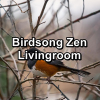 Nature Bird Sounds - Birdsong Zen Livingroom