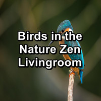 Yoga Flow - Birds in the Nature Zen Livingroom