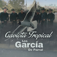 LOS GARCIA DE PARRAL - Gaviota Tropical