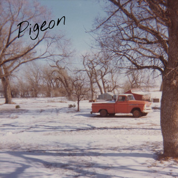 Pigeon - Conclusions