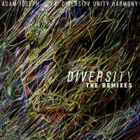Adam Joseph - Diversity: The Remixes (Explicit)