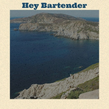 Various Artist - Hey Bartender