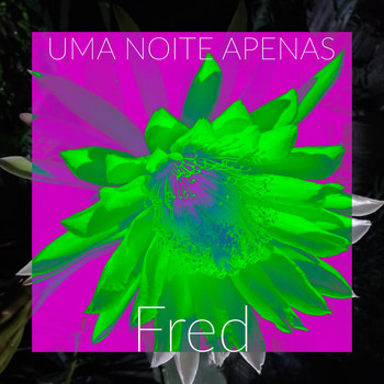 Fred - Uma Noite Apenas