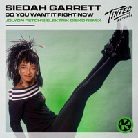 Siedah Garrett - Do You Want It Right Now (Jolyon Petch's Elektrik Disko Remix)
