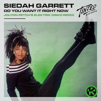 Siedah Garrett - Do You Want It Right Now (Jolyon Petch's Elektrik Disko Remix)