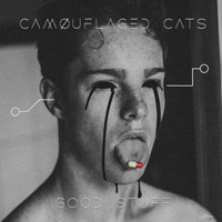 Camøuflaged Cats - Good Stuff