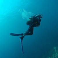 Borus - Nautilus Underwater Odyssey 90