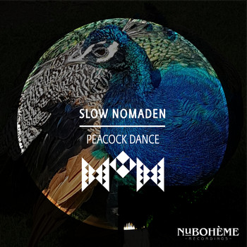 Slow Nomaden - Peacock Dance