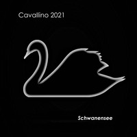 Cavallino 2021 - Schwanensee
