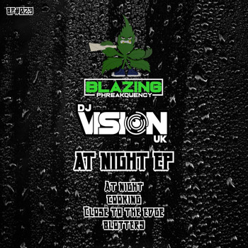 Vision - At Night