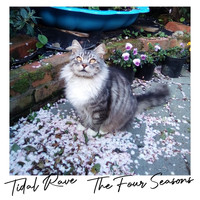 Tidal Rave - The Four Seasons