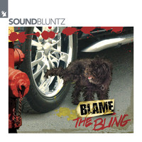 Soundbluntz - Blame The Bling