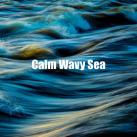 Sea Sounds - Calm Wavy Sea