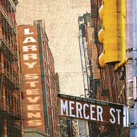 Larry Stevens - Mercer Street