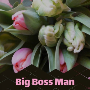 Various Artist - Big Boss Man