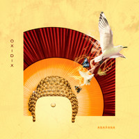 OXIDIX - Anapana