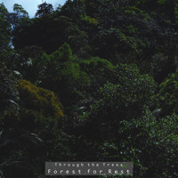Forest for Rest - Through the Trees