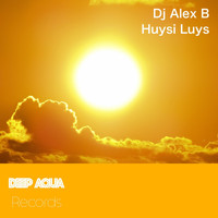 DJ Alex B - Huysi Luys