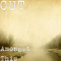 Cut - Amongst This