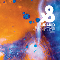 Budakid - Silent Summer / Story Of Tokay