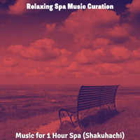 Relaxing Spa Music Curation - Music for 1 Hour Spa (Shakuhachi)