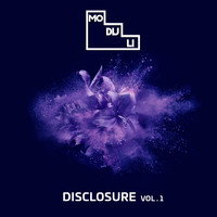 Thayana Valle - Disclosure Vol.1