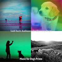 Music for Dogs Prime - Laid-back Ambiance for Sleeping Dogs