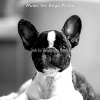 Music for Dogs Prime - Music for Sleeping Dogs (Guitar)