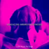 Calm Music for Dogs - Serene Jazz Trio - Ambiance for Sleeping Dogs