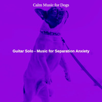 Calm Music for Dogs - Guitar Solo - Music for Separation Anxiety
