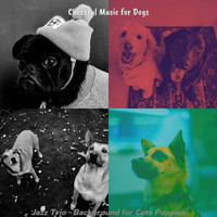 Cheerful Music for Dogs - Jazz Trio - Background for Cute Puppies