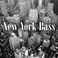 Ghost in The Shell - New York Bass