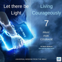Dr Denis McBrinn - Let There Be Light: Living Courageously, Vol. 7 (Pray for Courage) [Audiobook] [feat. Sara Dylan]