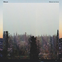 Tilman - Blume im Grau