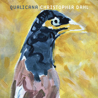 Chris Dahl - Qualicana