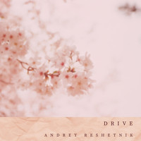 Andrey Reshetnik - Drive (feat. Veela)