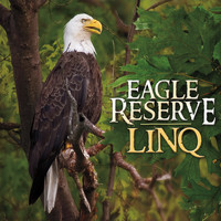 Linq - Eagle Reserve