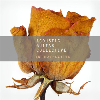 Acoustic Guitar Collective - Introspective