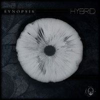 Hybrid - Synopsis (Explicit)