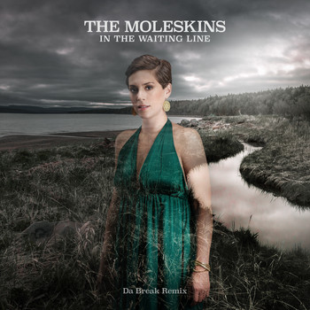 The Moleskins - In the Waiting Line (Da Break Remix)