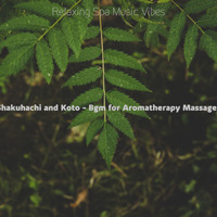 Relaxing Spa Music Vibes - Shakuhachi and Koto - Bgm for Aromatherapy Massages