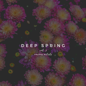 Various Artists - Deep Spring, Vol. 3