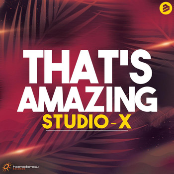 Studio-X - That's Amazing
