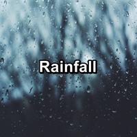 Atmosphere Asmr - Rainfall