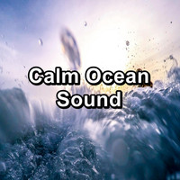Ocean Wave Sounds - Calm Ocean Sound