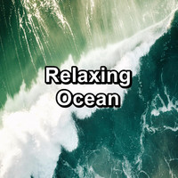 Sea Sounds - Relaxing Ocean
