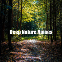 Nature Soundscapes - Deep Nature Noises