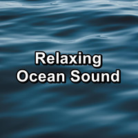 Calm Ocean Sounds - Relaxing Ocean Sound